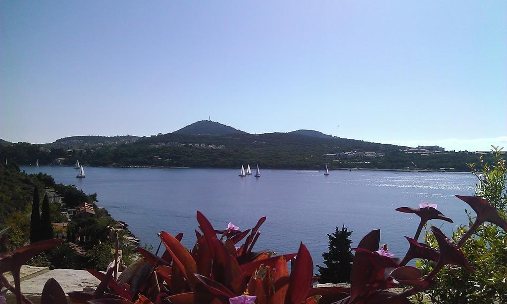 Apartments Anamaria Ντουμπρόβνικ Δωμάτιο φωτογραφία